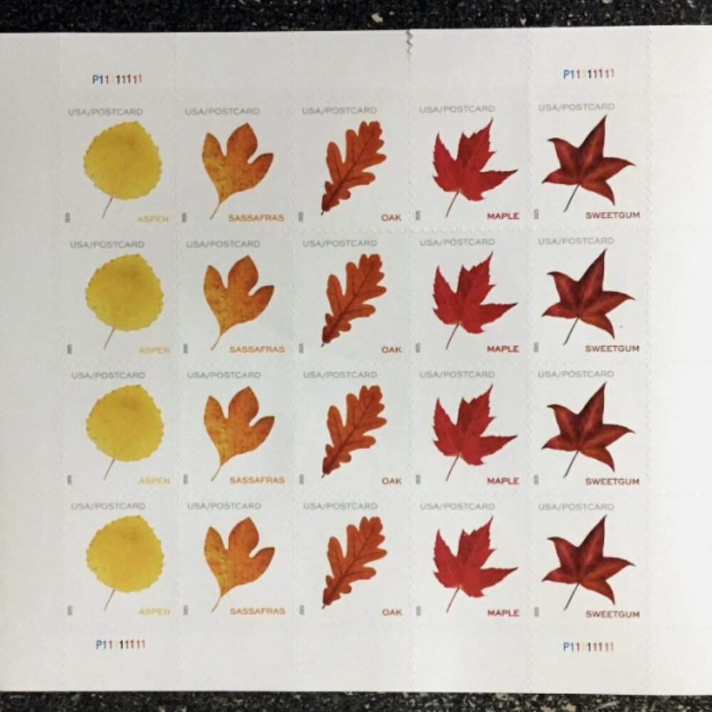2025 USA Postcard Forever Rate Vibrant Leaves - 1000 Stamp
